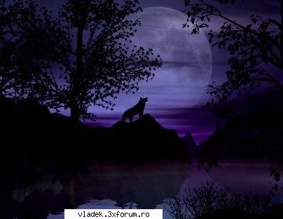 forum nou aceste forum este pentru cei care vor discute despre gta !!! &nbsp; &nbsp; &nbsp; &nbsp;